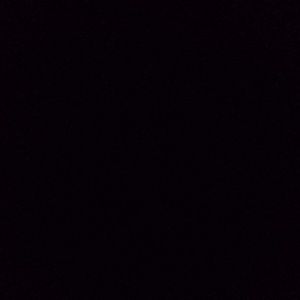 Meet your Posher, Kaylee